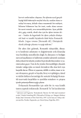 Sais Çırakları - Bez Cilt