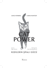 CAT POWER - Kedilerin Şifalı Gücü