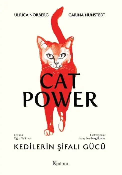 CAT POWER - Kedilerin Şifalı Gücü
