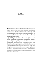 Caz Devri Hikâyeleri - Bez Cilt